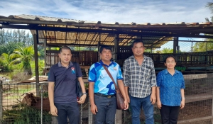 ลงพื้นที่ตรวจติดตามงานกิจกรรมส่งเสริมเกษตรทฤษฎีใหม่ และกิจกรรมเครือข่ายสัตว์พันธุ์ดีกรมปศุสัตว์